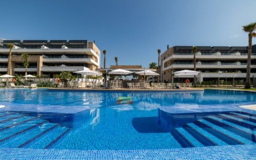 2-3 Bedroom Apartments in Playa Flamenca